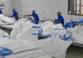 Factory Unit III