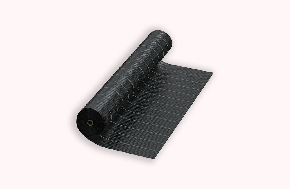 card-img-top